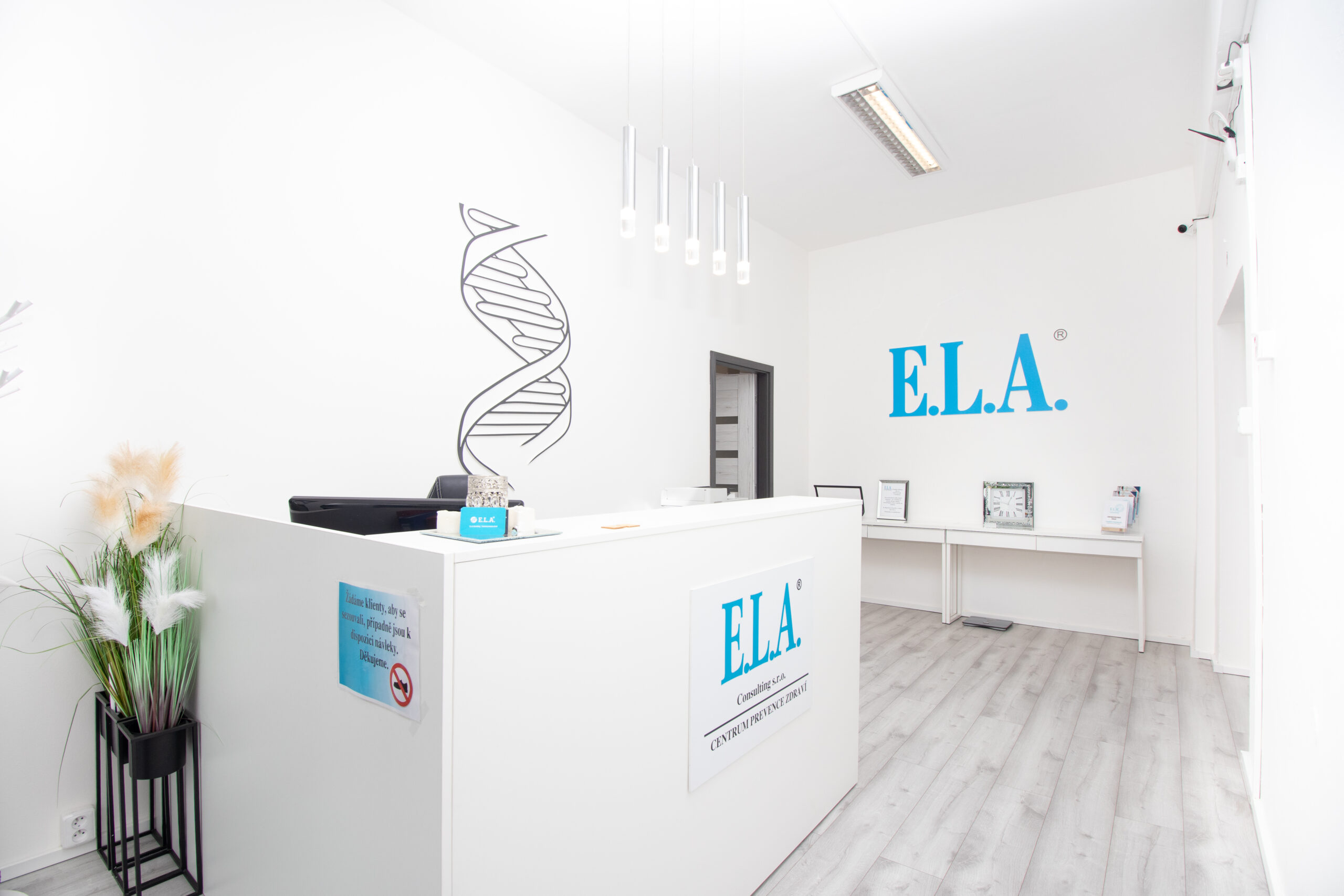 ela consulting ostrava business stock photo renei 52